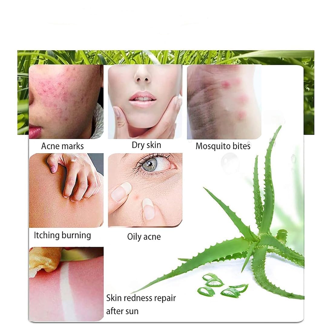 ROAD CREW Aloe Vera gel 300 ML Natural AloeVera Gel -Organic Moisturizing Cream, Soothing and Hydrating, Sunburn and Scar Repair, Care for Face Body Hair