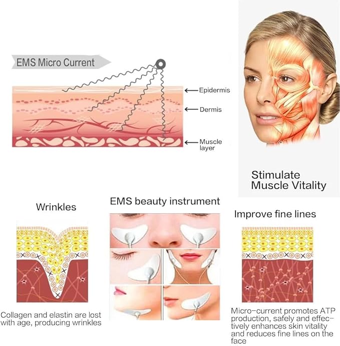 2 Face/Face Evolution, Stimulator, Transcutaneous Electrical, Aesthetic PurposesS, EMS Buttocks Toner, Face Muscle Stimulator, Neck Massager Home Workout Equipment