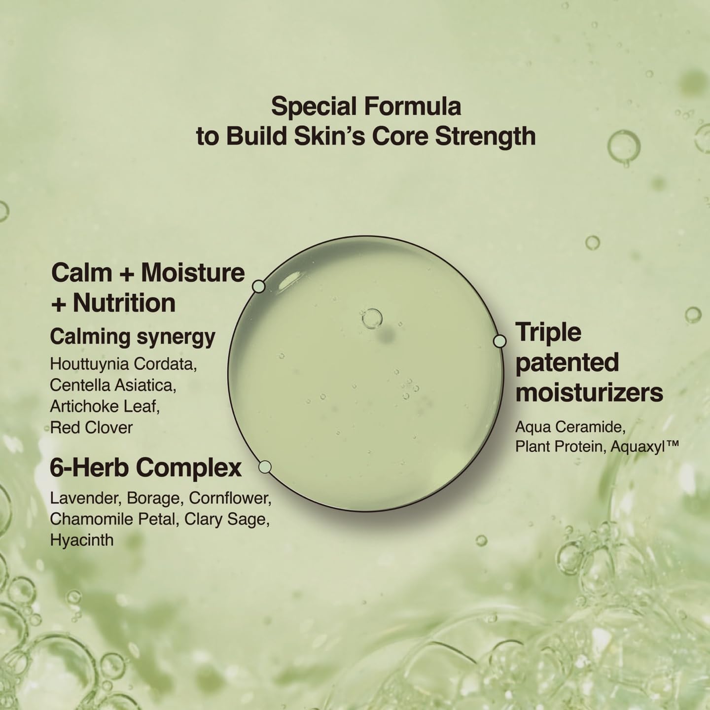 CHOSUNGAH BEAUTY Houttuynia Cordata Purity Skin Serum - Hydrating & Soothing Heartleaf Face Serum with Centella Asiatica, Korean Skin care for All and Sensetive Skin, 4.73 Fl Oz (140ml)