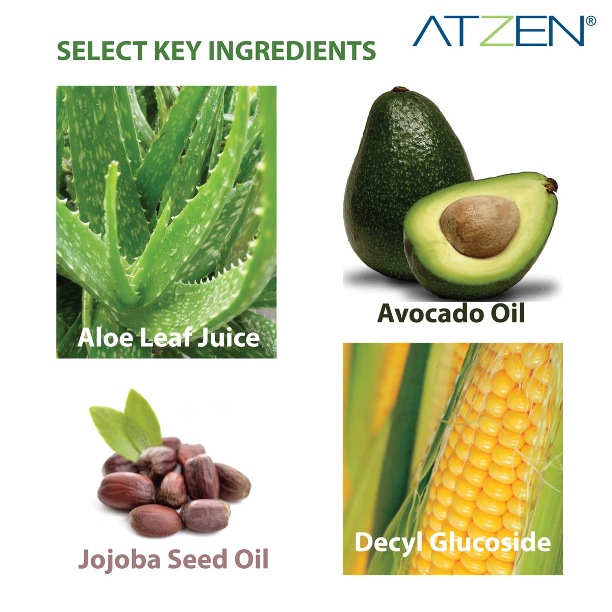 ATZEN Clean Natural Effective Cleansing Milk Facial Cleanser with Aloe and Decyl Glucoside 6.8fl.oz./200ml