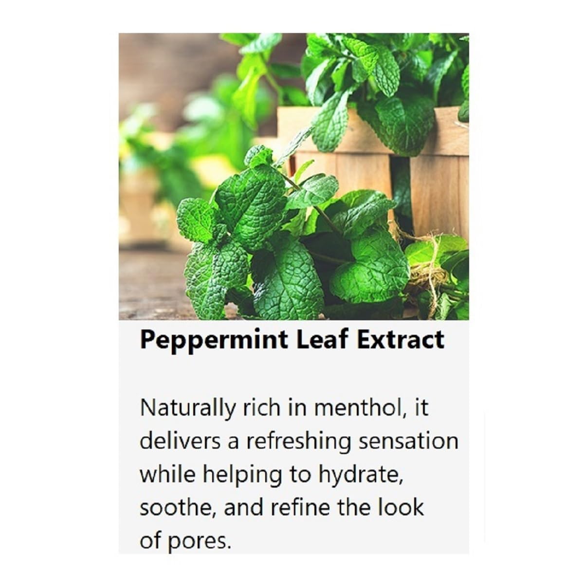 jNE Anskin Original Modeling Mask Powder Pack | Korean Skincare Face Pack for Calming Irritated Skin, Deep Hydration & Pore-Cleansing Care (35.27oz / 1kg, Cool Ice)