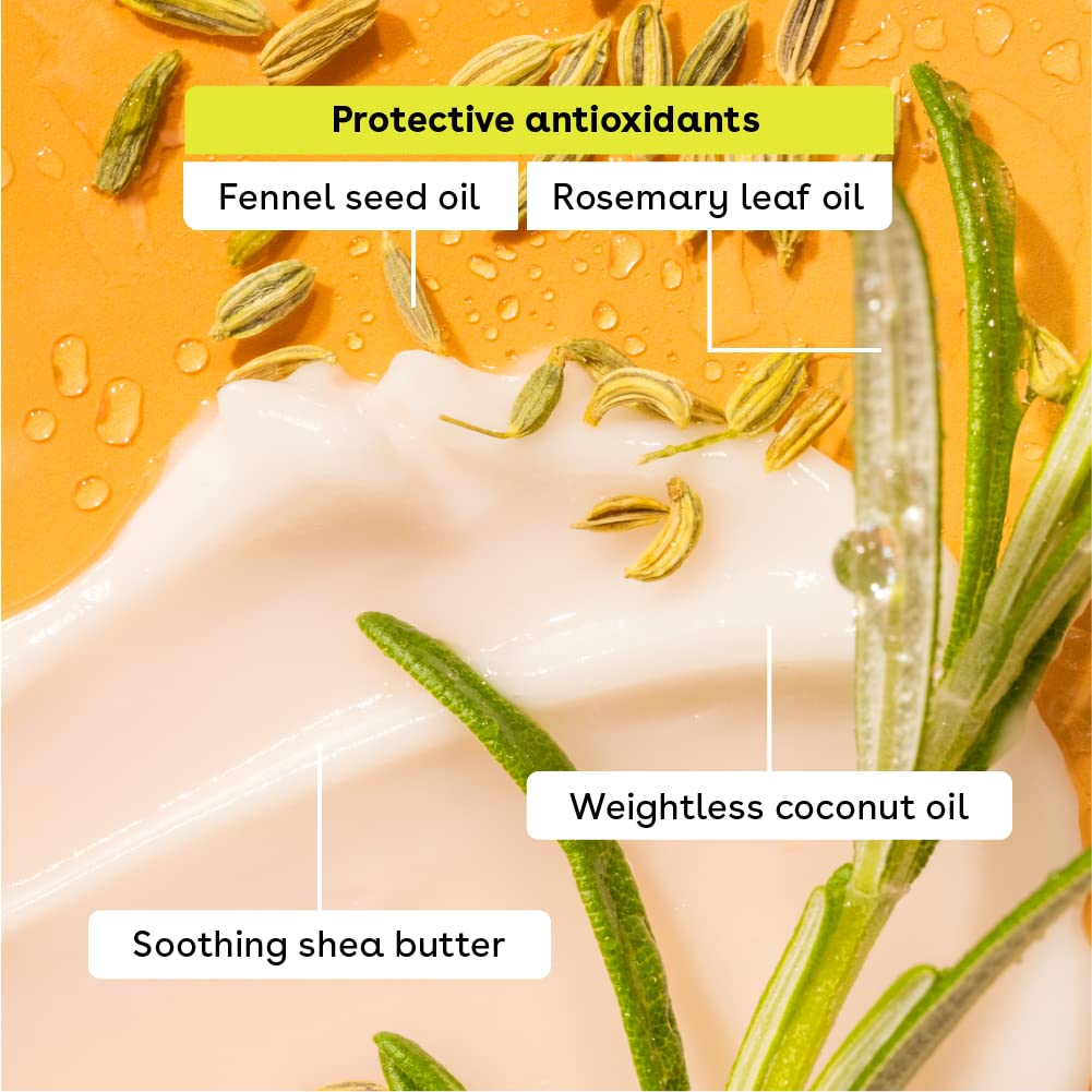 eos Natural Shea Moisturizing Lip Balm- Birthday Cake, All-Day Moisture Lip Care Products, 0.14 Ounce (Pack of 2)