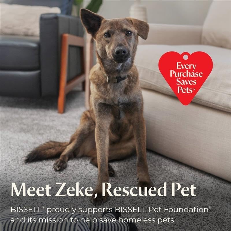 BISSELL Steam Shot Omni Pressurized Handheld Multi-Surface Natural Portable Steam Cleaner with 7 tools for tile, grout, windows, bathrooms, kitchen, auto