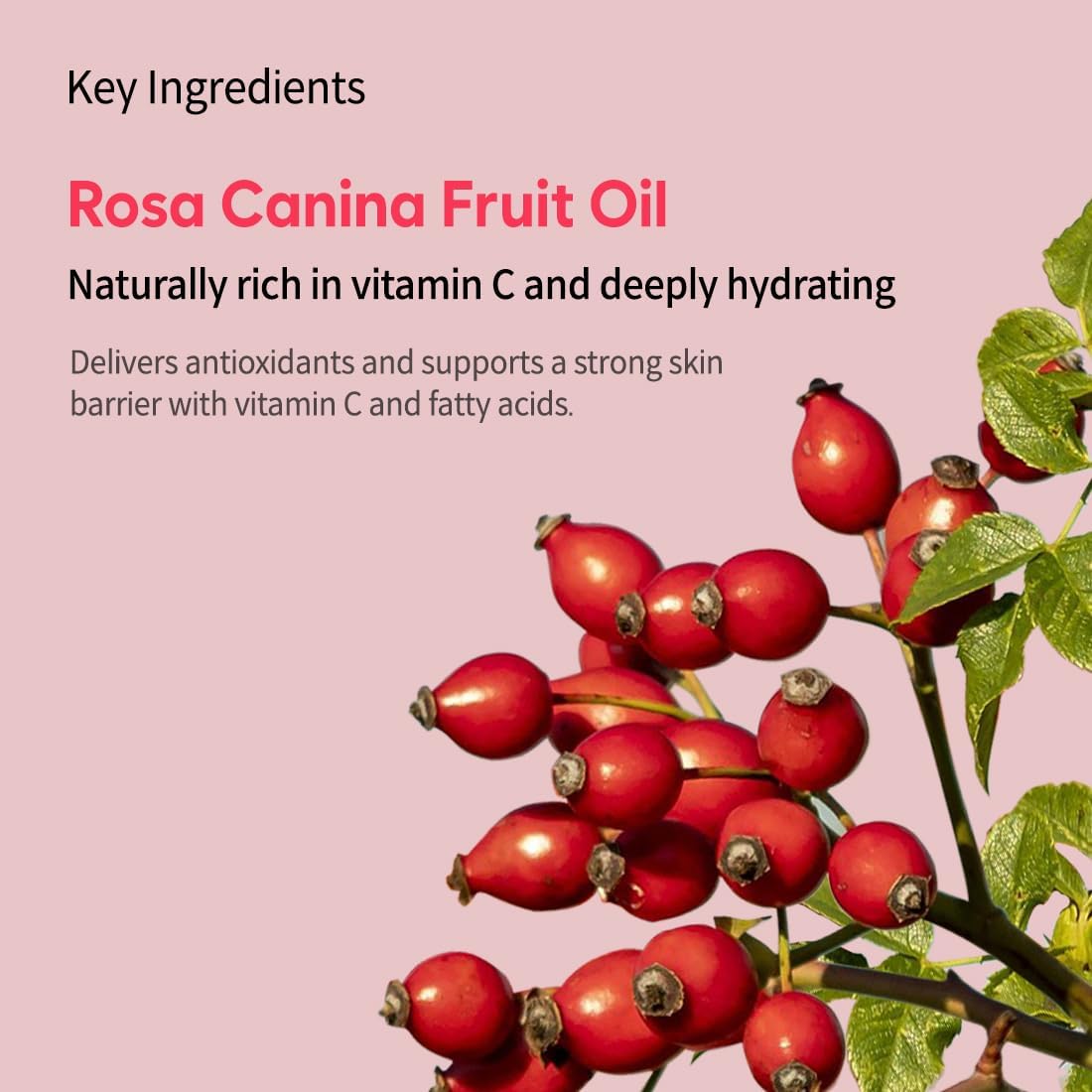 Candorlov Glowing Face Toner+Ampoule, Face Spray Hydrating Mist, Moisturization & Nourishment for Sensitive Dry Skin, Panthenol, Dragon Blood, Korean Skin Care, K Beauty(1.70 fl.oz)