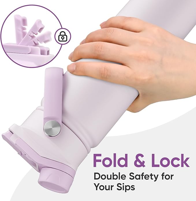 24 oz Insulated Water Bottle, 2-in-1 Lid, Straw & Spout with Protected, Leak Proof, Keep Cold, Stainless Steel, Metal, Reusable, Handle, for Travel, Gym and School, 2 Lids, Pale Mauve