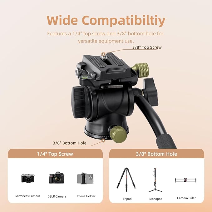 Cayer CH10L Carbon Fiber Tripod with S1 Mini Fluid Head, 28" Compact Desktop Stand, Tabletop Camera Support with Center Column for Mirrorless Cameras Video Camcorder Mobile Phone Webcam - Green