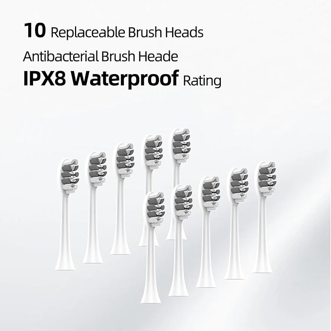 Adult Sonic Electric Toothbrush with 10 Brush Heads, Travel case, and Wall Bracket, Suitable for Both Adults and Children, IPX8 Waterproof, USB Charging, 42000VPM, Silver