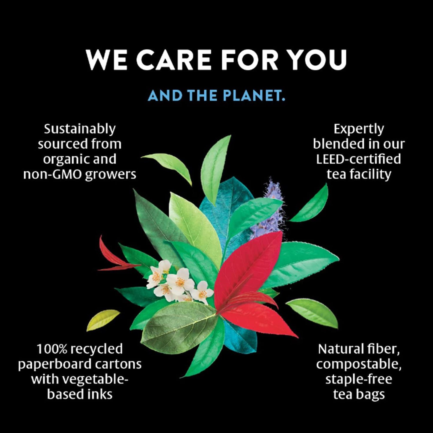 Choice Organic Teas Sipping Box Tea Sampler, Variety Gift Box, 32 Total Tea Bags, 8 Flavors, Caffeinated and Caffeine-Free Teas, Sustainably Sourced Organic and Non-GMO Ingredients