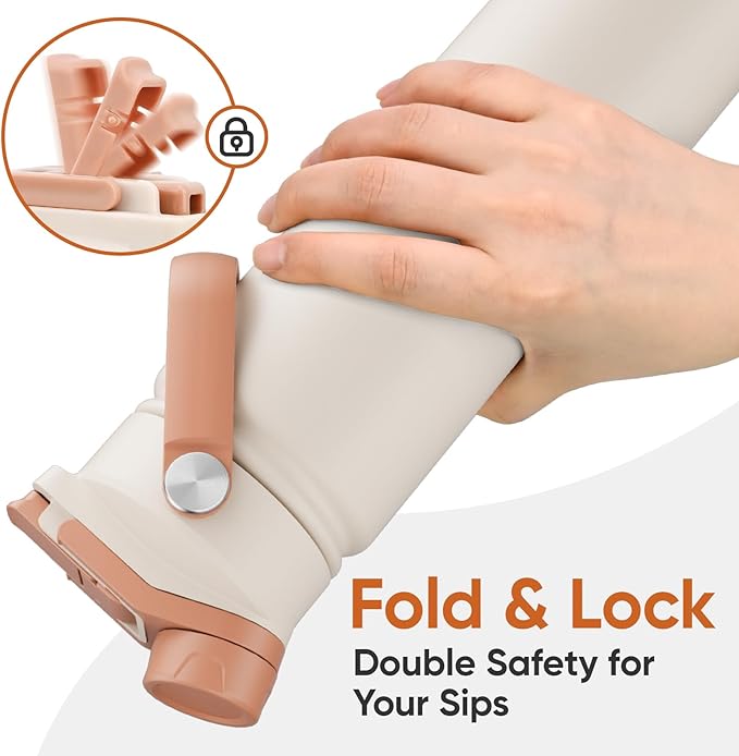 24 oz Insulated Water Bottle, 2-in-1 Lid, Straw & Spout with Protected, Leak Proof, Keep Cold, Stainless Steel, Metal, Reusable, Handle, for Travel, Gym and School, 2 Lids, Mousse