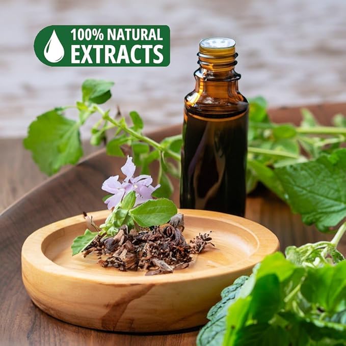 Bless-Patchouli 100%-Natural-Handmade-Hand-Dipped Organic-Chemicals-Charcoal-Free Purification-Relaxation-Positivity-Yoga-Meditation Best-Woods-Scent (80 Sticks (4.20 OZ))