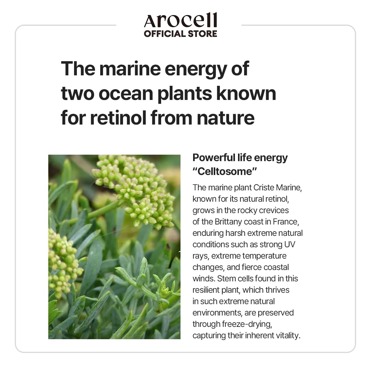 AROCELL Botulcare Graphene Face Mask 5 Sheets 25ml–Korean Skincare Collagen Peptide Sheet Mask for Firming, Elasticity, Hydrating, Moisturizing, Pore Care with High Adhesion Non-Drip Hydrogel Fit