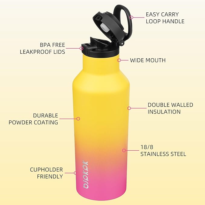 BJPKPK Insulated Water Bottle With Straw 17oz Stainless Steel Water Bottles With 2 Lids And Carry Handle Reusable Travel Metal Thermo,Rainbow