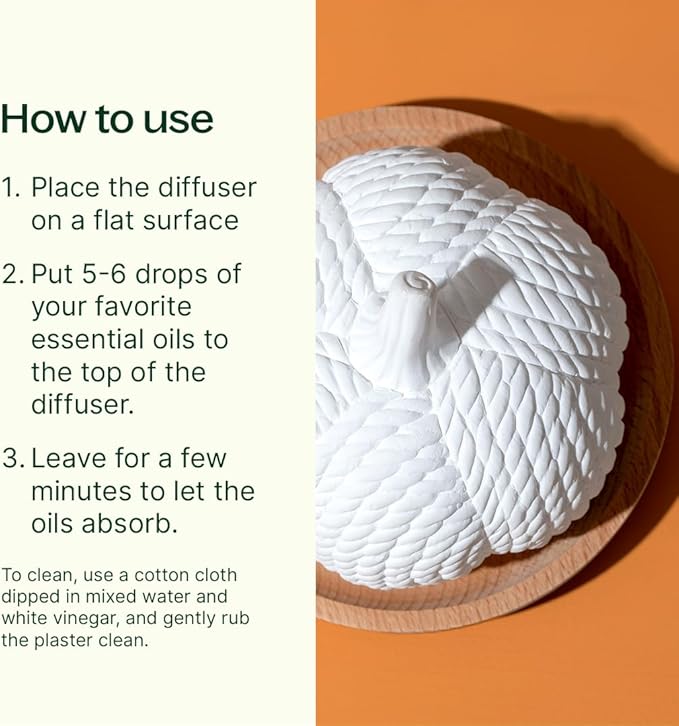Plant Therapy Pumpkin Passive Diffuser for Fall, Porous, Unglazed Pumpkin & Natural Beech Wood Base, Add Essential Oils for a Soft Scent, Fun & Cheerful Holiday Décor
