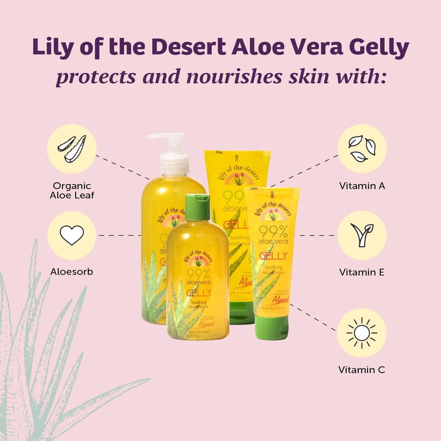 Lily Of The Desert Gelly Moisturizer - 99% Organic Aloe Vera Gel for Skin, After Sun Care with Aloe, Vitamin E Oil, and Vitamin C for Sunburn Relief, 8 Fl Oz (Pack of 2)