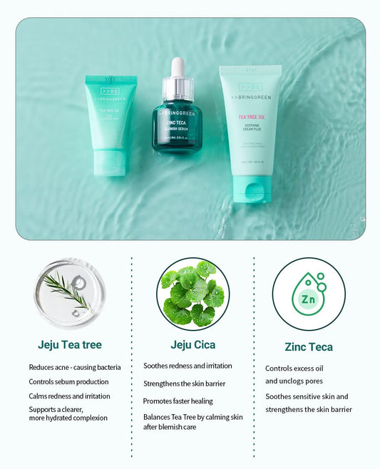 BRING GREEN TEA TREE CICA TRIAL KIT | Travel Size Korean Skin Care Set for Acne-Prone, Sensitive Skin | Zinc Teca Serum, Tea Tree Cica Moisturizer & Deep Cleansing Foam | Hydrating & Oil Control