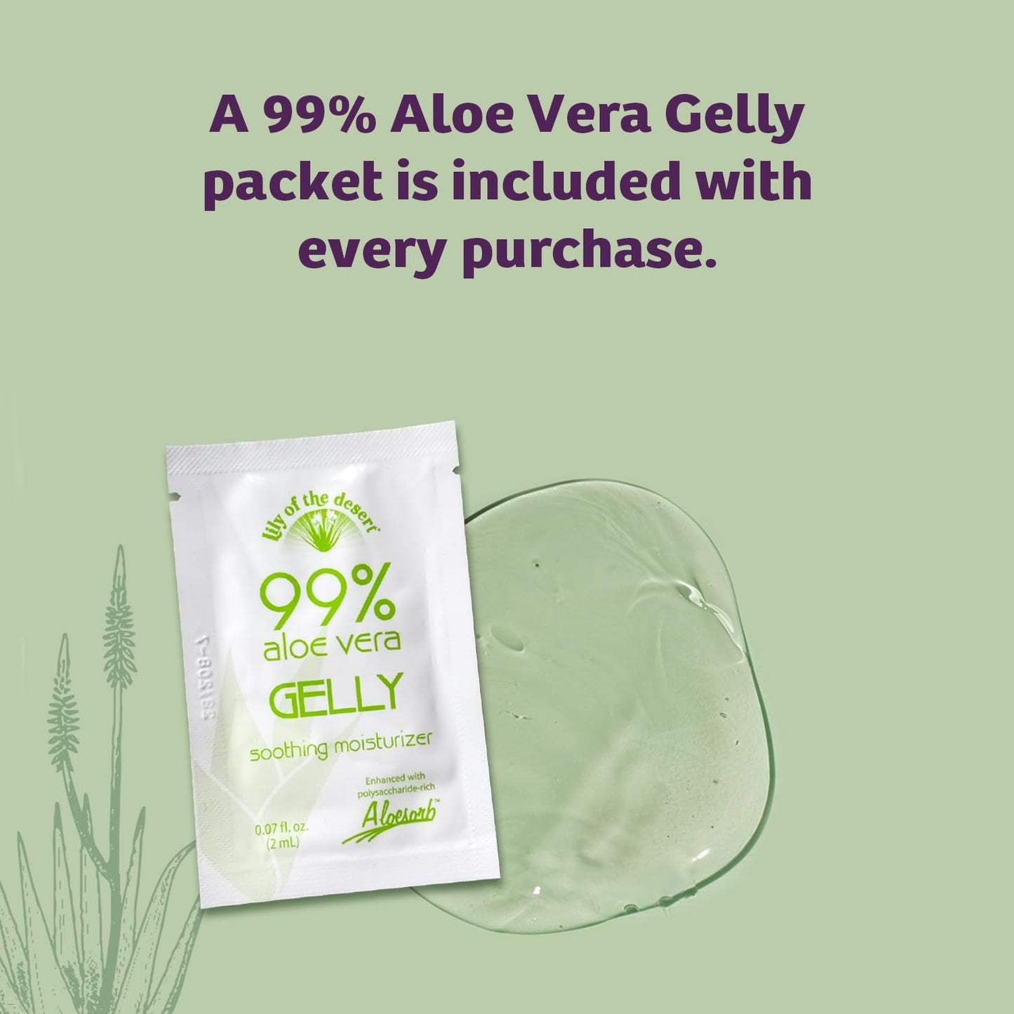 Lily Of The Desert Gelly Moisturizer - 99% Organic Aloe Vera Gel for Skin, After Sun Care with Aloe, Vitamin E Oil, and Vitamin C for Sunburn Relief, 8 Fl Oz