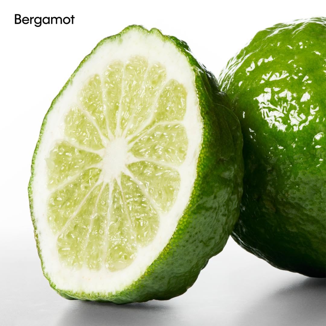 Calvin Klein CK One Deodorant Stick – With Notes of Green Tea, Bergamot, Cardamom, Violet & Amber – 2.6oz