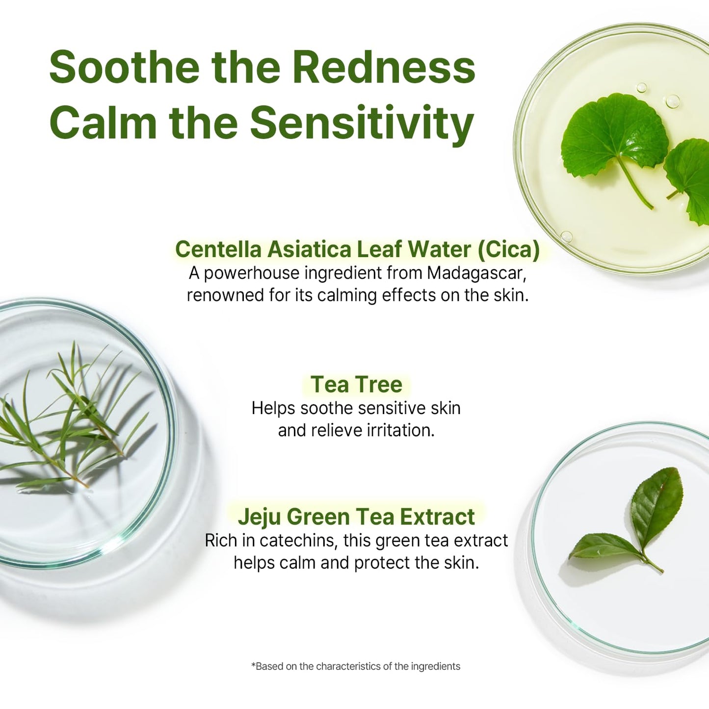 AVCA True Calming Cica Tea Tree Soothing Serum for Sensitive, Balanced Skin (3.38 oz)