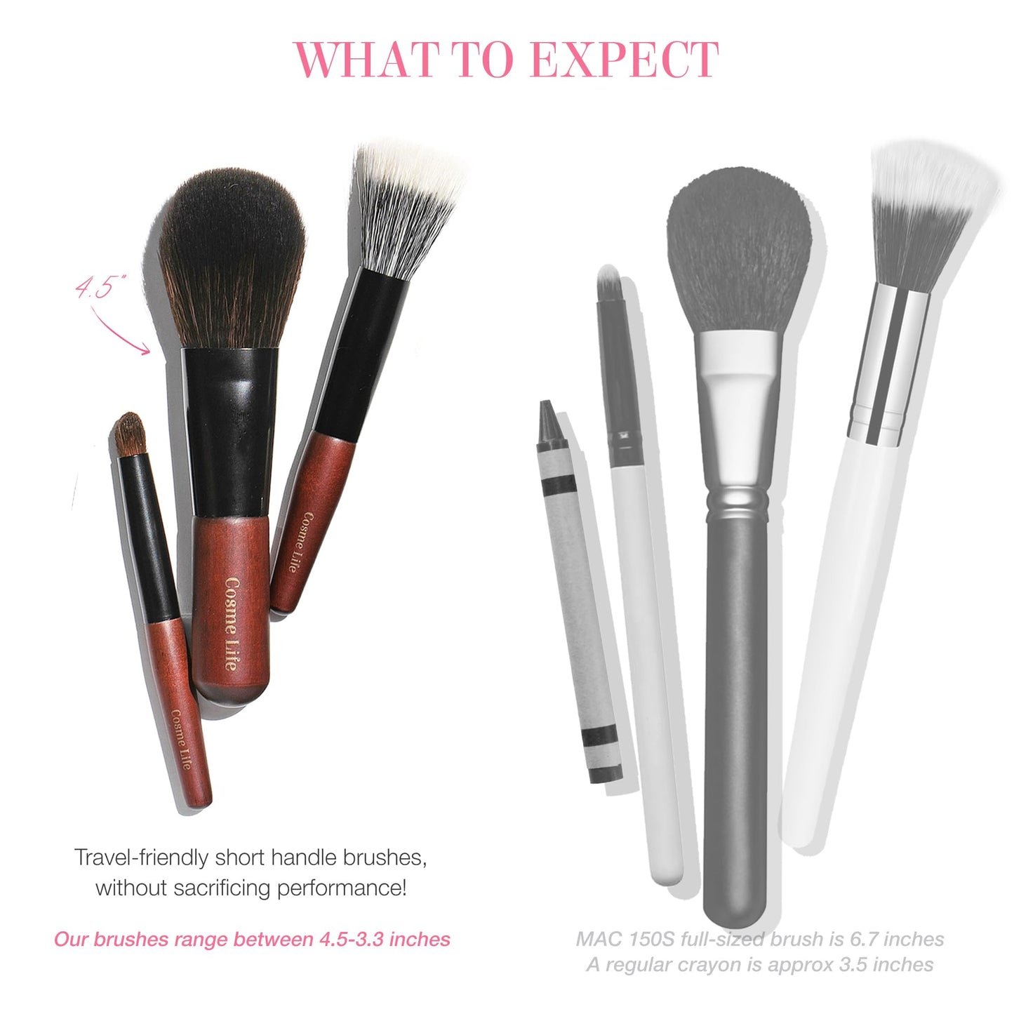 Cosme 9 FULL FACE MINI TRAVEL Make Up Brush Set: Powder, Concealer, Blush, Eyeshadow, Eyeliner, Brow Makeup Brushes Set in Synthetic & Natural Hair Make up Brush Set + Case for Work, Vacation, School