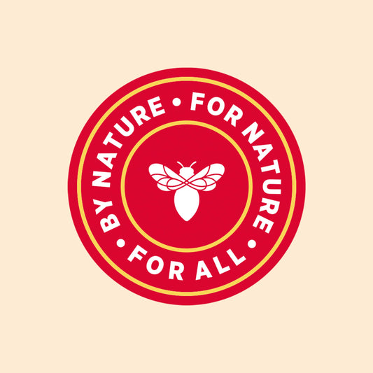 Burt's Bees Gifts Ideas - Essential Everyday Beauty Set, 5 Travel Size Products - Deep Cleansing Cream, Hand Salve, Body Lotion, Foot Cream and Lip Balm