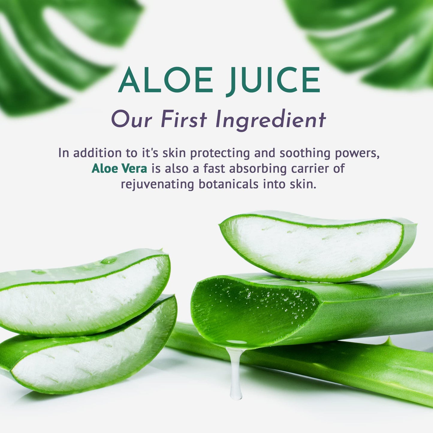 The Best Plant-Based Organic Moisturizer – Ayurvedic, Vegan, pH-Balanced Face & Body Lotion. Microbiome-Friendly, Non-Greasy, Deep Hydration for Radiant Skin. Perfect for Women & Men, Day & Night.