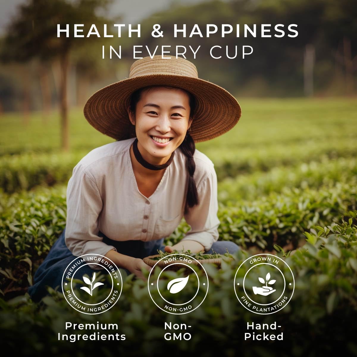 Gya Tea Co Evening Calm Tea Gift Set (24 ct) - Assorted Tea Pod Variety Pack with Vanilla Chai, Peppermint, High Mountain, Jasmine Green 4 Flavors for Night Rest, Digestion & Relaxation