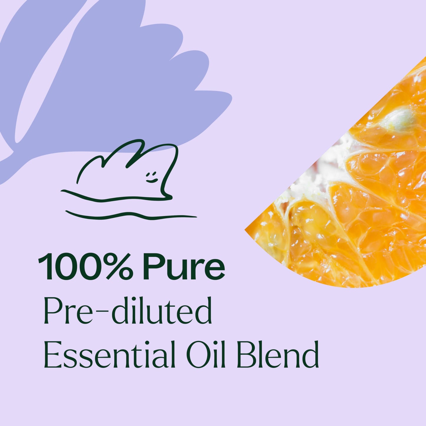 Plant Therapy Relax Essential Oil Blend Pre-Diluted Roll On 10 mL (1/3 oz) 100% Pure, Natural Aromatherapy, Therapeutic Grade