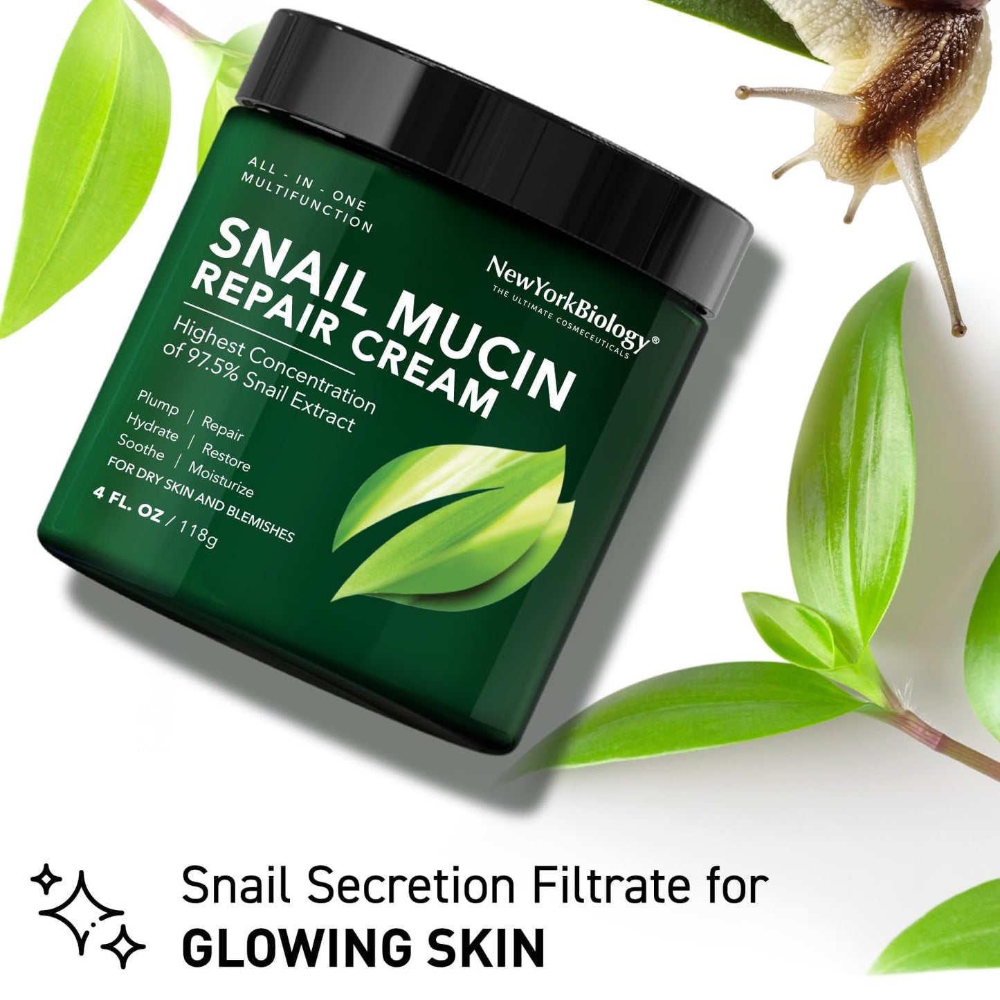 New York Biology 97.5% Korean Snail Mucin Moisturizer - Face Cream 4 Fl Oz - 100 g - Face Moisturizer for Dry Skin - Skin Care Moisturizing and Hydrating Facial Moisturizer