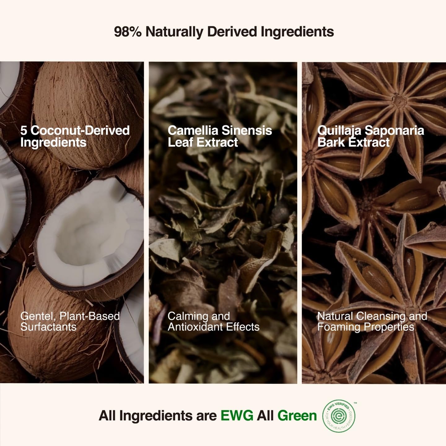 CHOSUNGAH BEAUTY PH Balancing PHA Cleansing Foam - Korean Face Wash for Sensitive Skin, Gentle Hydrating Facial Cleanser, Exfoliating Skin care, 4.4 Fl Oz (130ml)