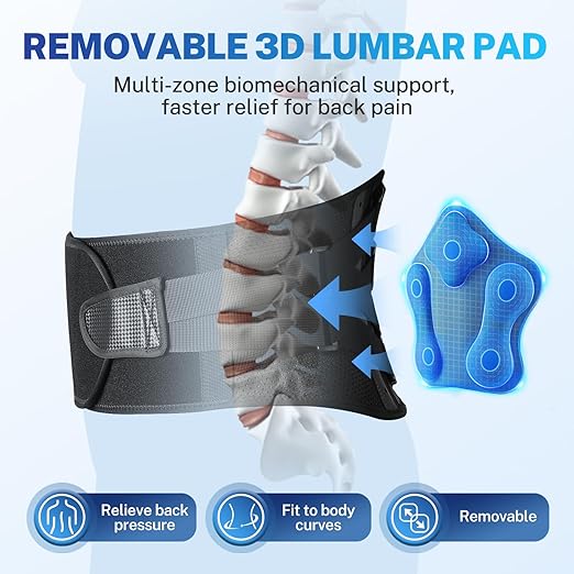 Back Brace for Lower Back Pain Relief, Extra Lumbar Support Pillow, Lightweight Carbon Fiber Splints, Ultra-thin Mesh, Adjustable Fit, for Under Clothes, Sciatica, Posture, Lifting, Size L