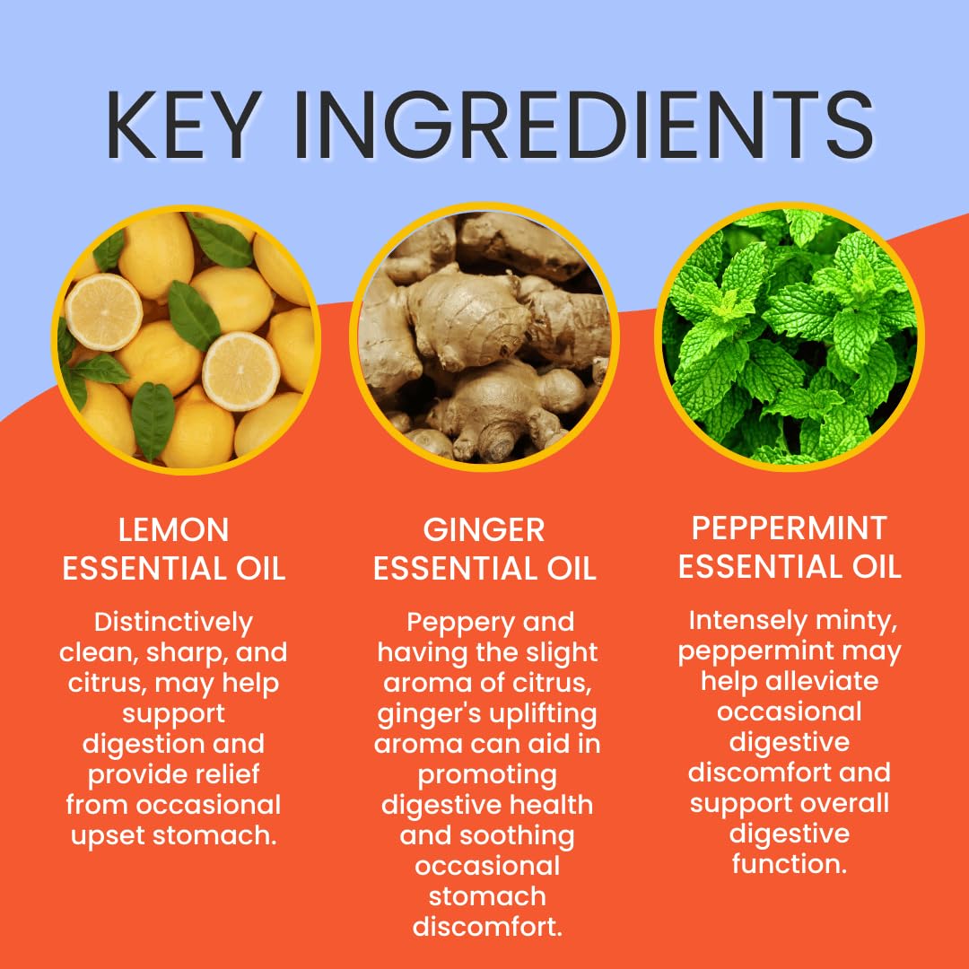 Stripped Bath & Body Queaze Eaze Essential Oil Roll On | Stomach Support Essential Oil Blend with Ginger, Lemon, Peppermint, and Fennel – Skin-Friendly Carrier Oils | Stocking Stuffer Gift