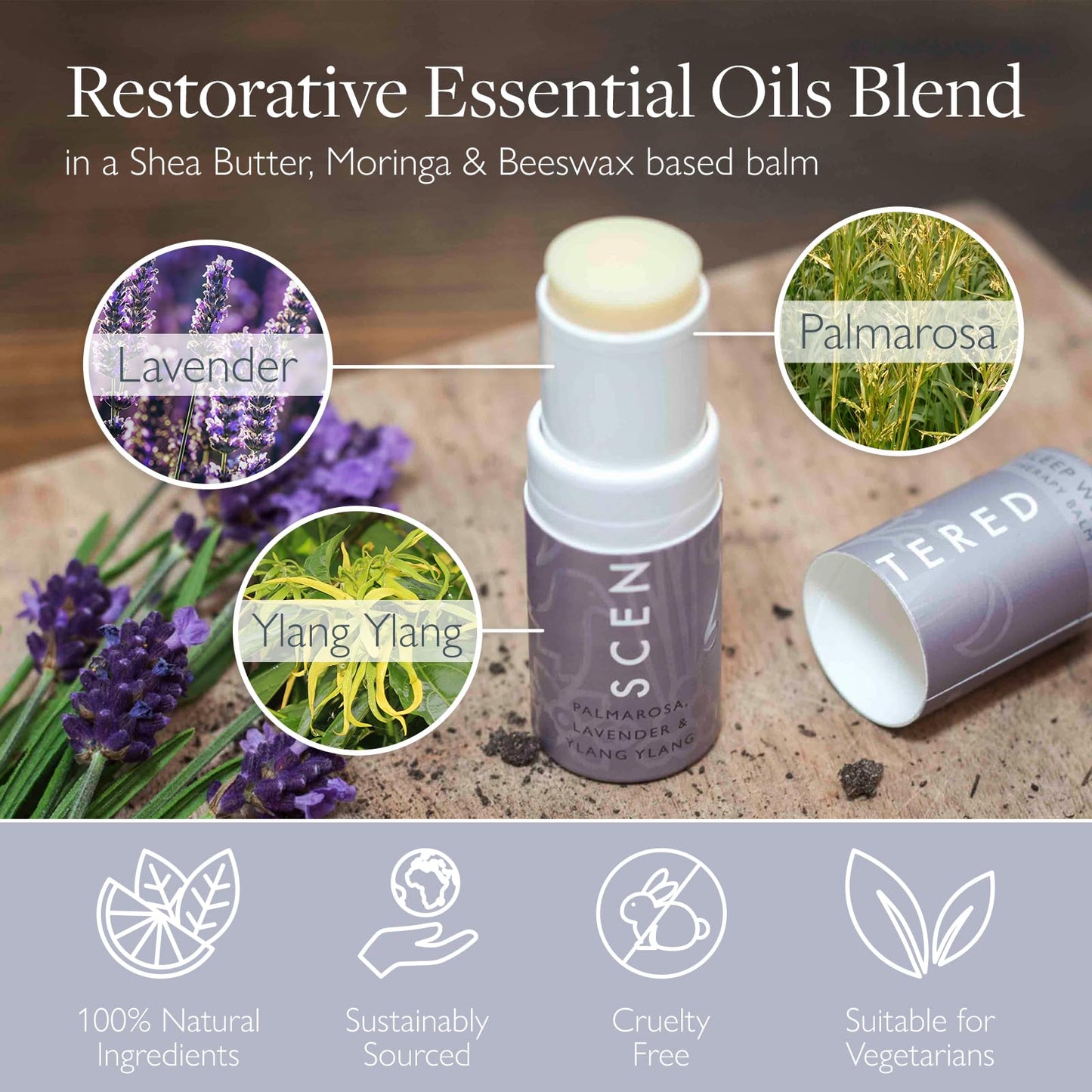 Scentered Sleep Well Aromatherapy Essential Oils Balm Saver Bundle - 2 x 5g Balms & 2 x Mini Travel Balms - for Restful Sleep - Natural Blend of Lavender, Chamomile, Ylang Ylang