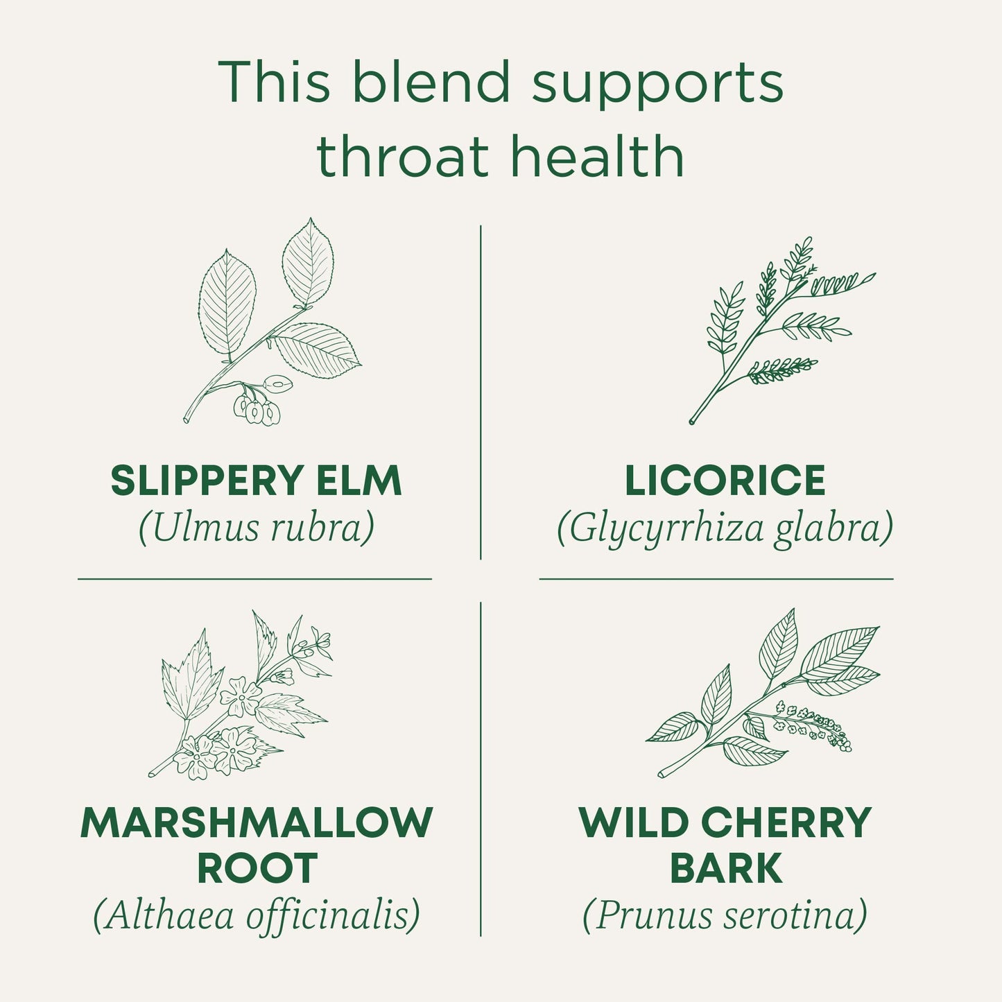 Traditional Medicinals Organic, Throat Coat Tea, Original with Slippery Elm - Supports Throat Health - Kosher, Non-GMO, Caffeine-Free, Compostable - 16 Tea Bags