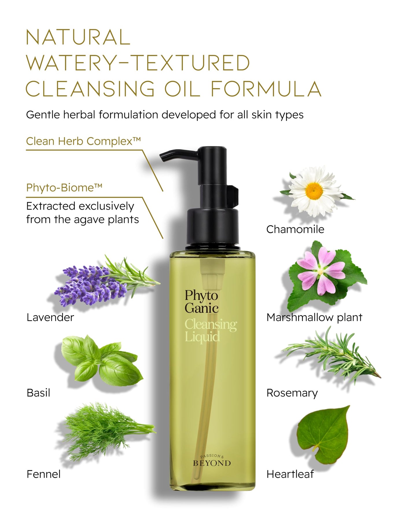 BEYOND Phytoganic (Cleansing Liquid, 6.8fl oz) - Vegan Formula Korean Skin Care. Gentle All-in-One Face Wash with Smooth Finish, Clean Herbs, Phyto-Biome