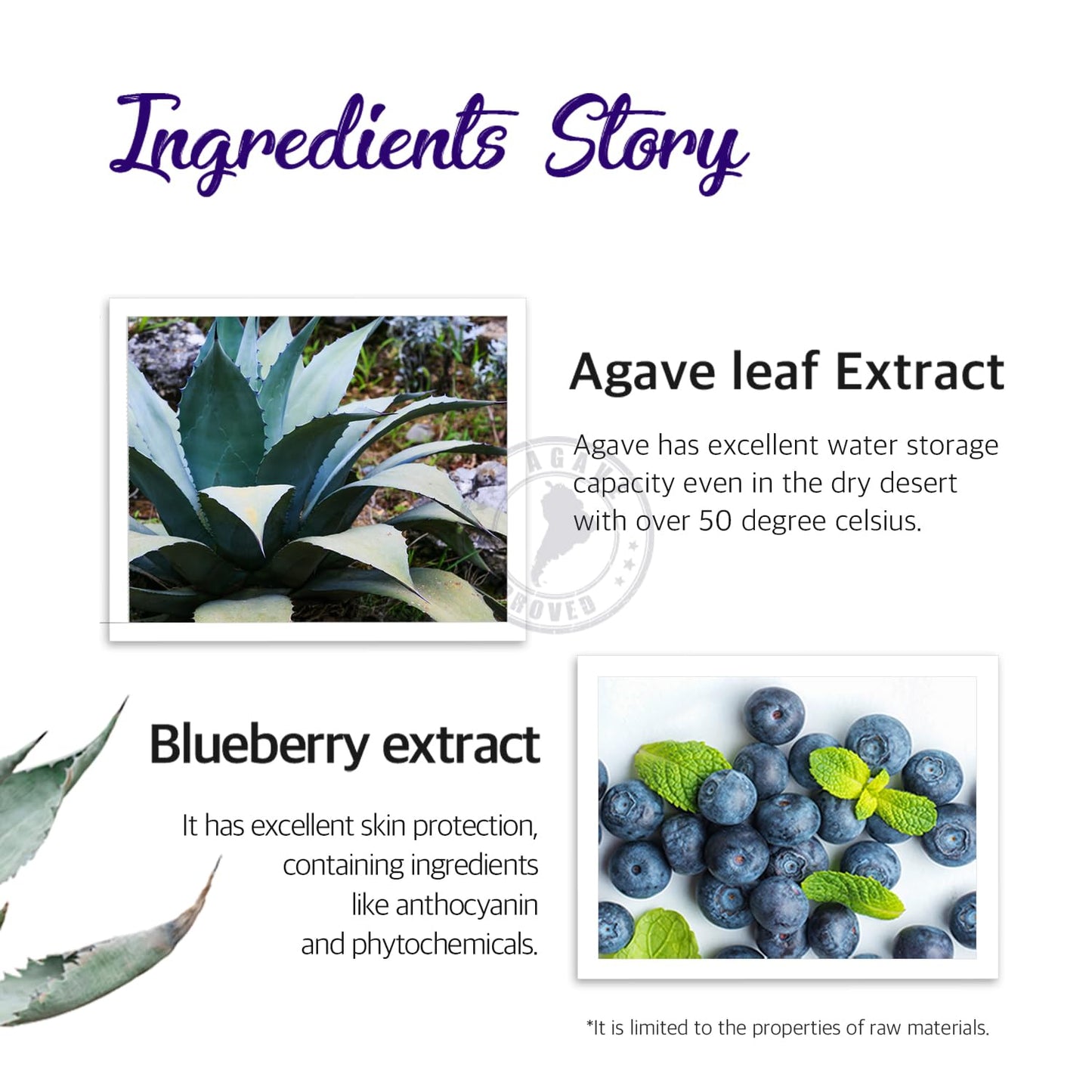 Petitfee Agave Cooling Hydrogel Eye Mask 60ea (30pairs) - Quick Calming Eye Patches with Blue Energy Complex, Agave, Blueberry, Eggplant, Caffeine Extracts, Moisturizing, Soothing Eye Care