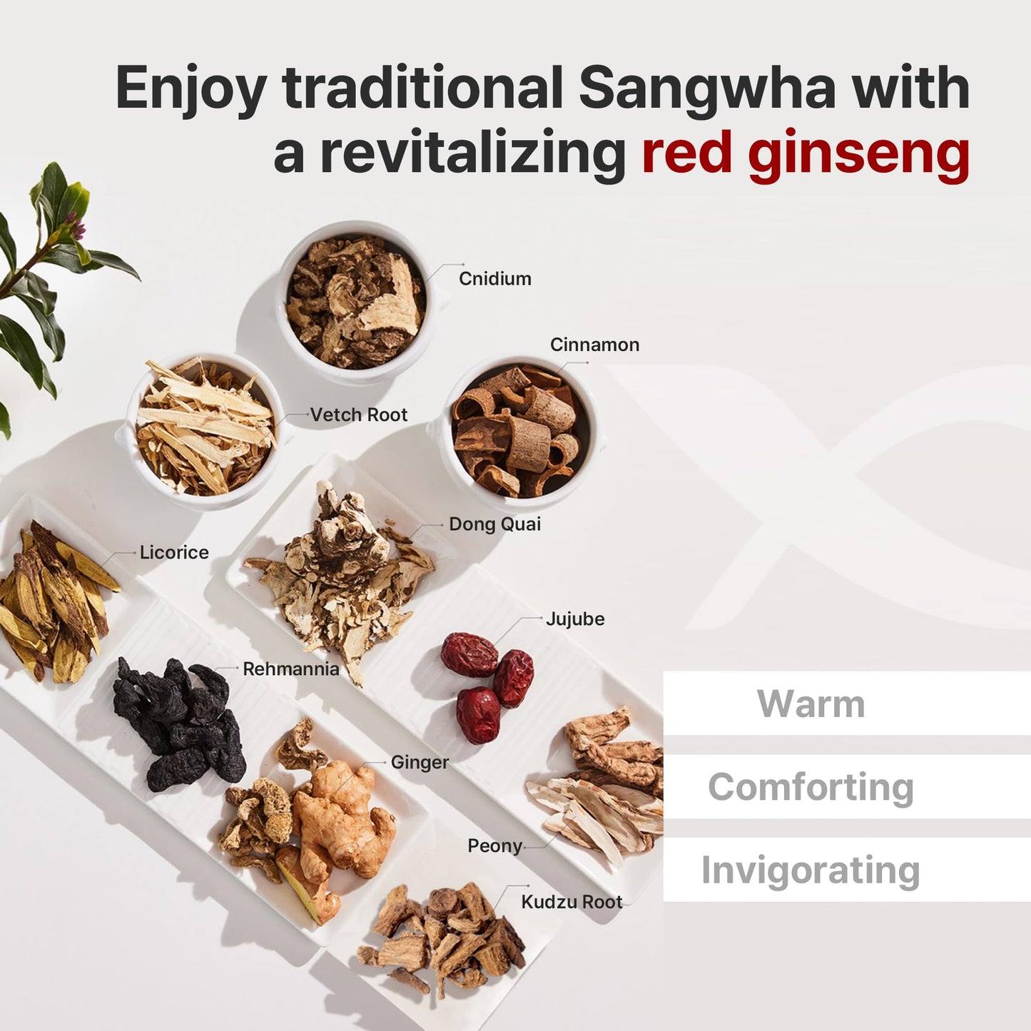 KWANGDONG Ssang Hwa Jin (Red Ginseng) - Korean Traditional Herbal Red Ginseng Tea, Supports General Wellness, Energy, and Vitality, 10 Pouches