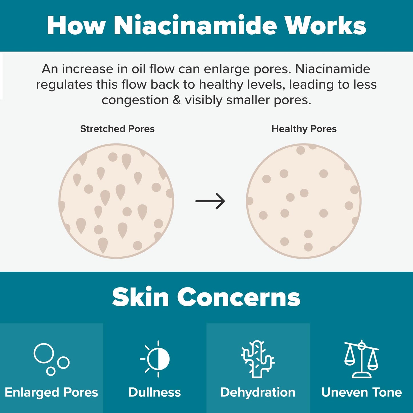 Paula's Choice Skin Balancing Pore-Reducing Face Toner with Niacinamide for Combination & Oily Skin, Minimizes Large Pores, Controls Oil & Shine, Acne-Prone Friendly, Travel Size, 1 Fl Oz