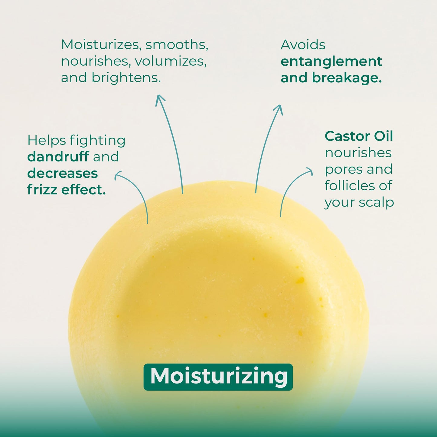 Limoux Cosmetics solid conditioner for fine & brittle hair -For Growth & frizz control- moisturizing, strengthening, softening-Paraben Free, Silicone Free, Cruelty free, Vegan, 50 uses, 1.94oz