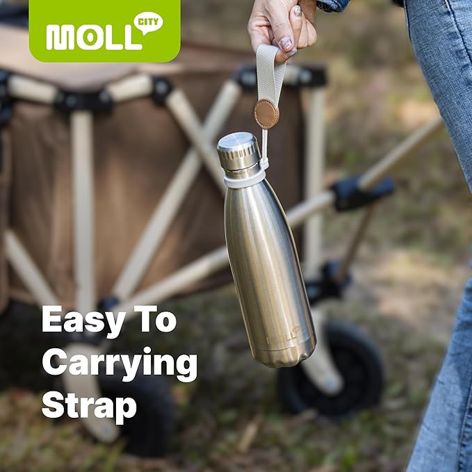 17 oz Stainless Steel Water Bottles-Insulated Water Bottle-Sports Water Bottle for School Double Walled Vacuum Cola Shape-Leak Proof Sport Water Bottle(Black)