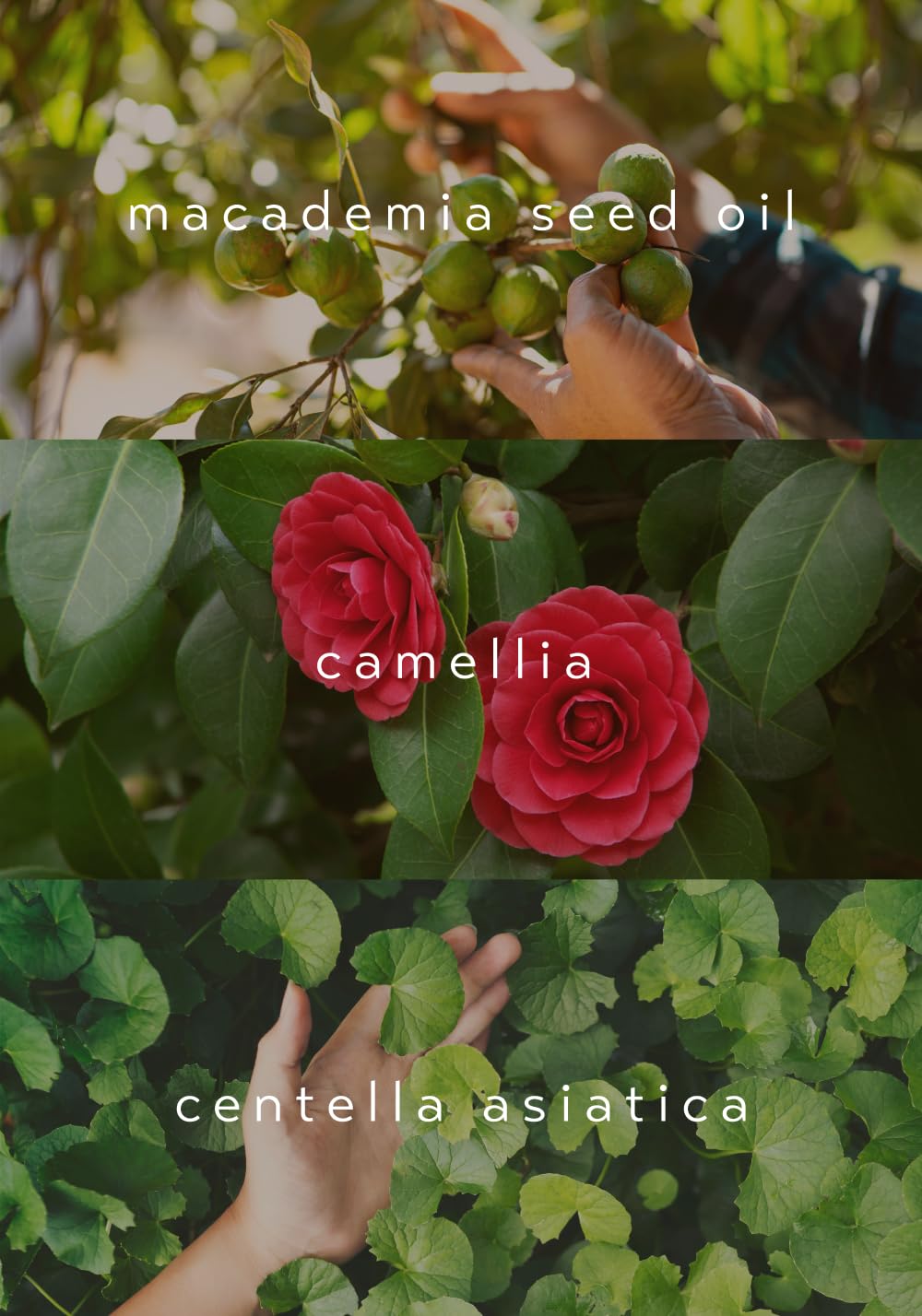 NOTHING FITS BUT Vegan Soothing & Hydrating Bebe Baby Balm Stick - EWG Green