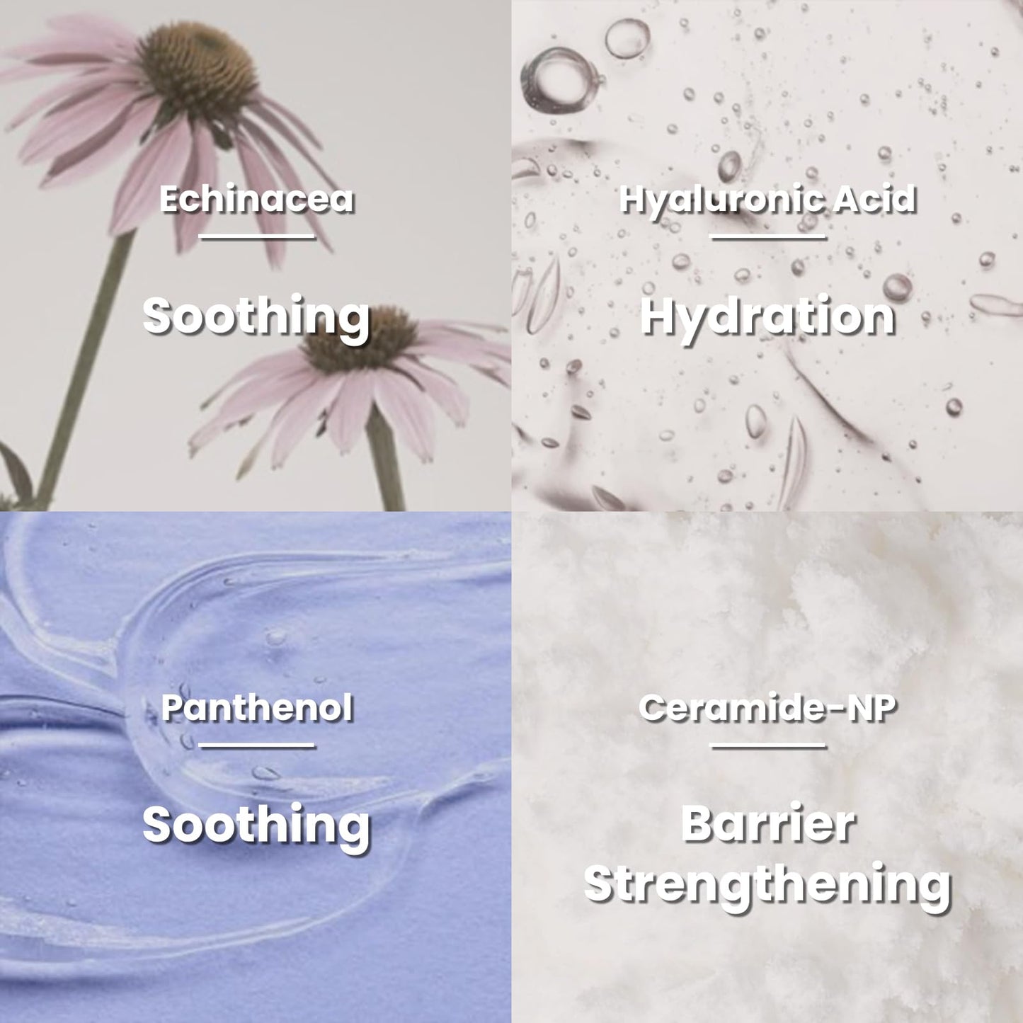 RAWQUEST [2 pack Skin Barrier Recovery Cream 25ml + 80ml, Deep Hydration, Skin Barrier Repair, Soothing, Moisturizer with Ceramide, Panthenol, Hyaluronic Acid for Dry Sensitive Skin, Korean Skincare