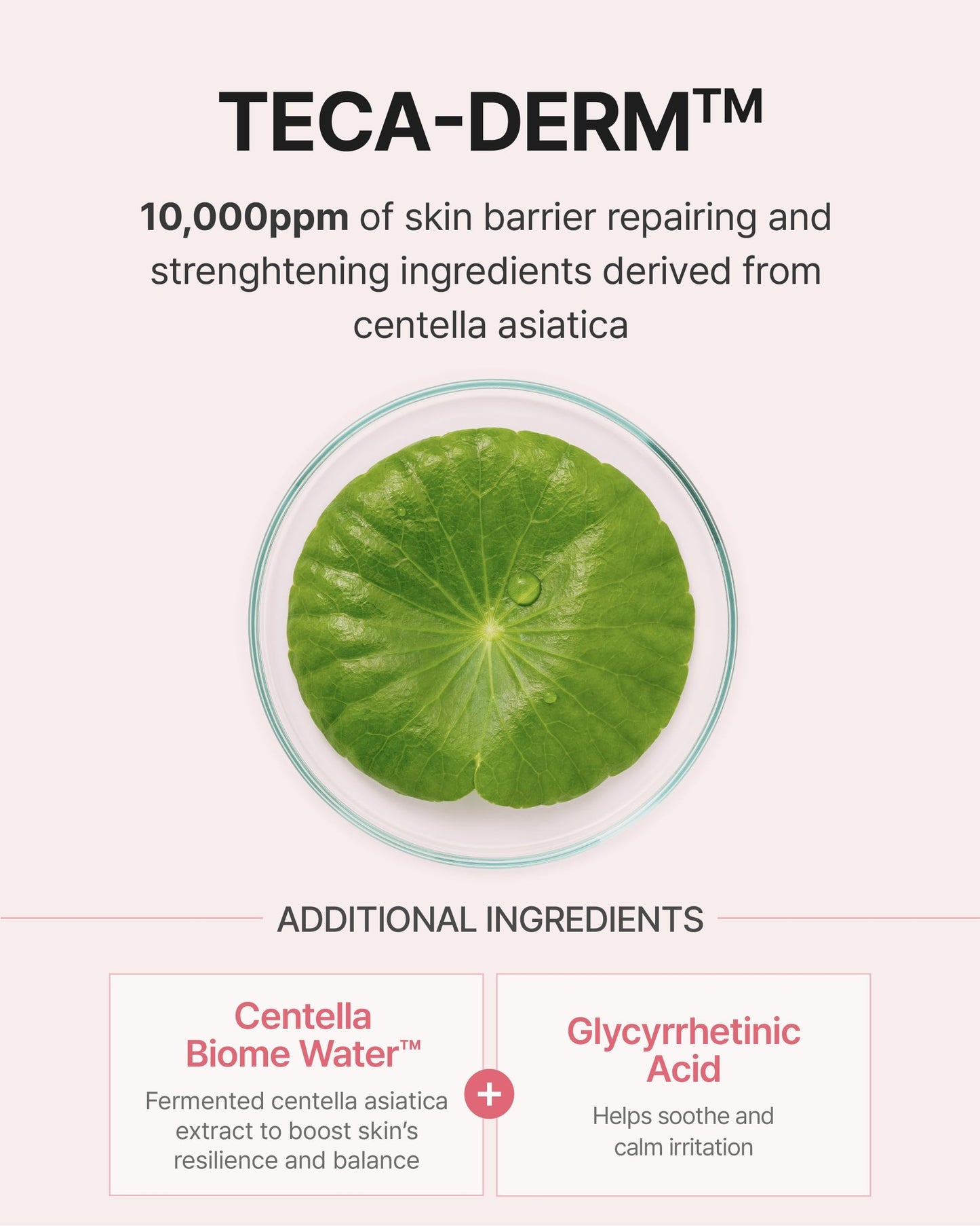 Centellian 24 Madeca Daily Repair Ampoule (Daily Soothing, 1.69fl oz) - Soothing & Hydrating Facial Serum for Sensitive Skin, Skin Barrier Repair & Fast Absorption, Korean Skin Care