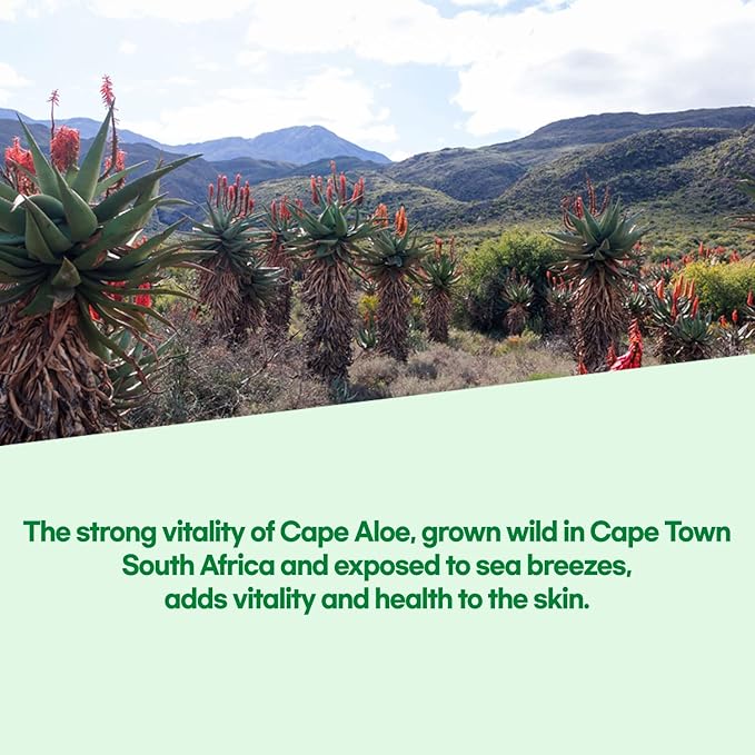 by.H Organic Aloe Vera Soothing Gel-Natural Moisturizer for Skin and Hair, Effective for Sunburns, Razor Burns, Non-Greasy Formula, Skincare [Made in Korea] (Jar Type-3 Pack)