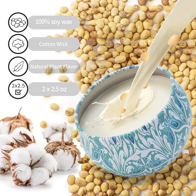 Scented Candles Gift Set 2 Pack 2.5 oz Relaxing Aromatherapy Candles for Home Scented, Stress Relief Candles Gifts for Women, Natural Soy Wax Candles Gift for for Her, Mom, Friends