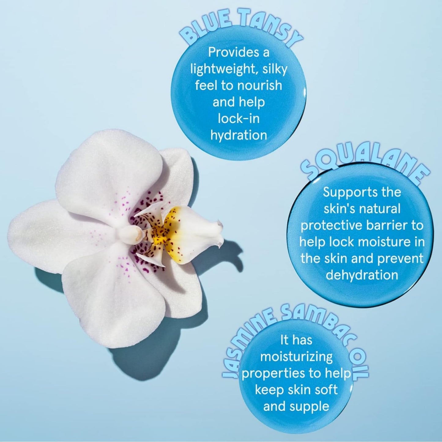 HERBIVORE Rainbow Minis Set - (Serums + Oils Best Sellers Collection), Plant-based, Vegan, Cruelty-free