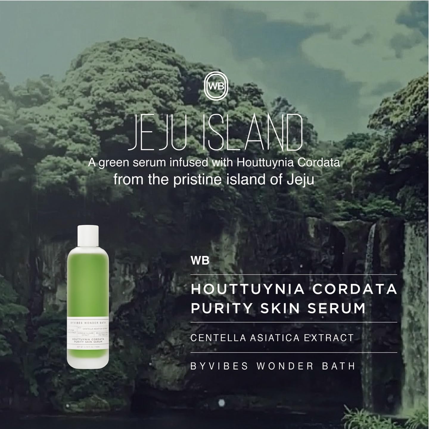 CHOSUNGAH BEAUTY Houttuynia Cordata Purity Skin Serum - Hydrating & Soothing Heartleaf Face Serum with Centella Asiatica, Korean Skin care for All and Sensetive Skin, 4.73 Fl Oz (140ml)