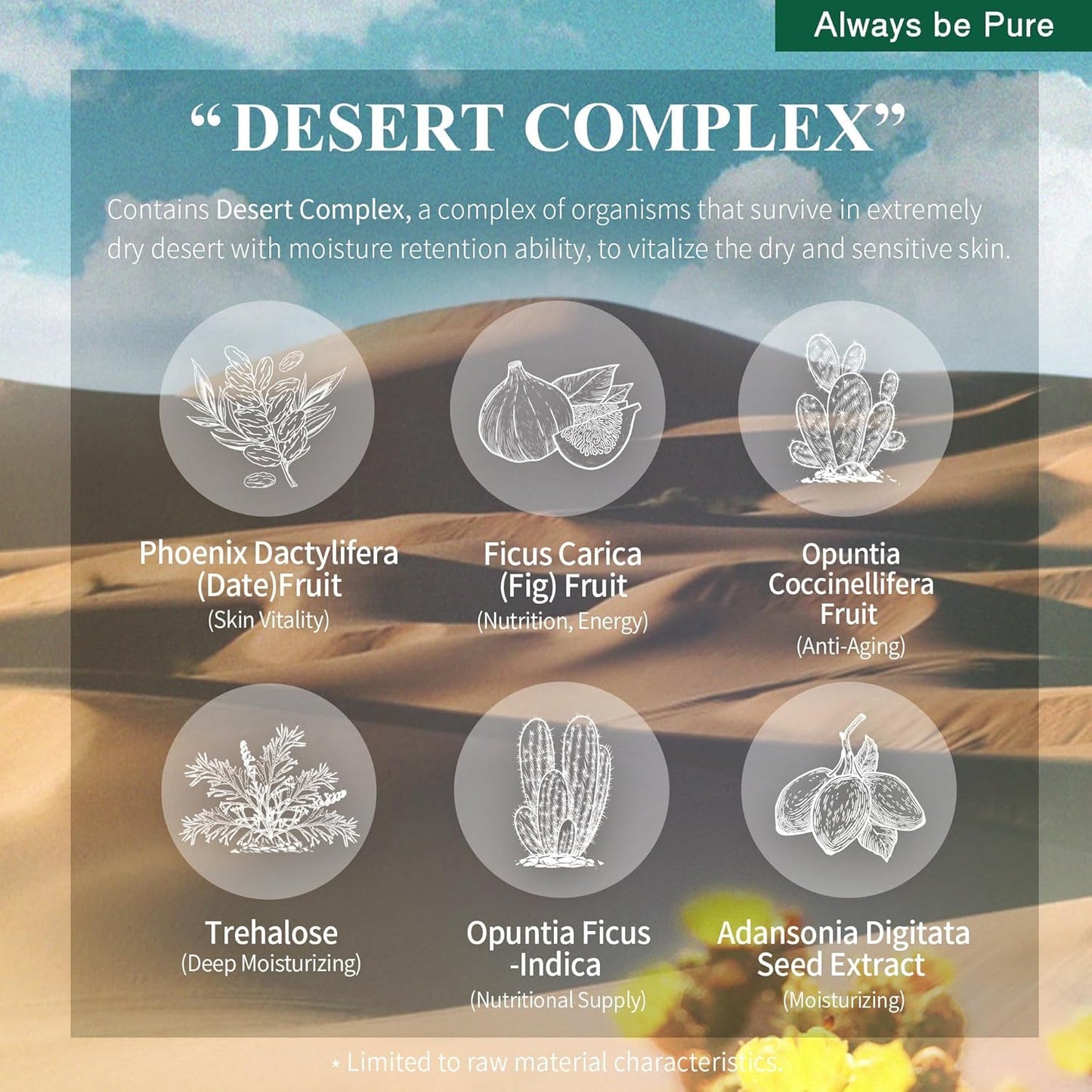 ALWAYS BE PURE Green Tea Sleeping Mask 75ml – Rich Moisture Night Mask, Hypoallergenic, Calms Redness, Deep Hydration for Sensitive Skin, Non-Sticky Korean Skincare