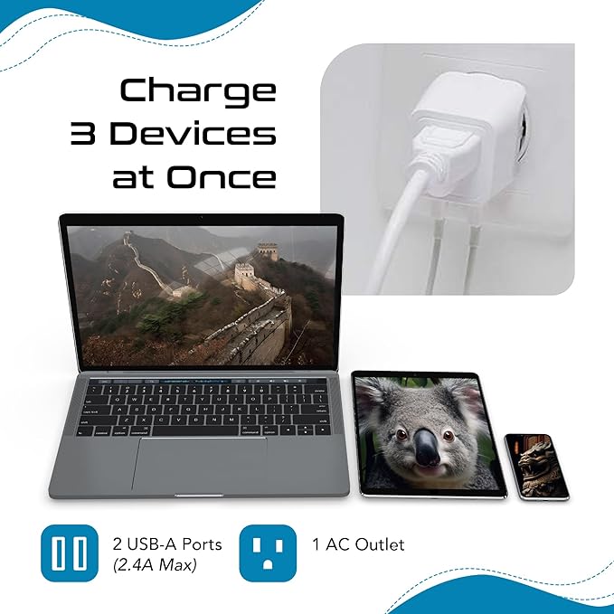 Ceptics Australia, New Zealand, China Travel Adapter Plug with Dual USB Input - Ultra Compact - USA to Type I - Perfect for Cell Phones, Chargers, Cameras and More (CTU-16-2PK)