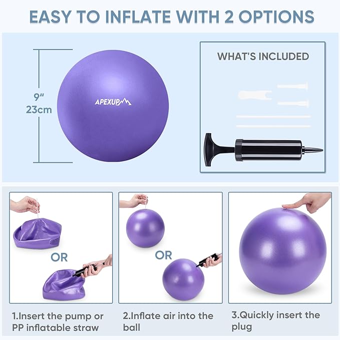 APEXUP Yoga Ball Exercise Ball Anti Slip Heavy Duty for Fitness, Balance & Core Workout