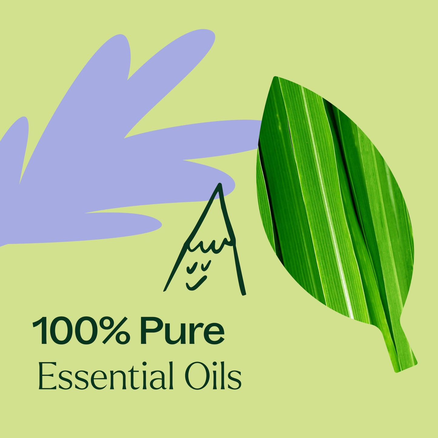 Plant Therapy Balance Essential Oil Blend 10 mL (1/3 oz) Pre-Diluted Roll-On 100% Pure, Therapeutic Grade